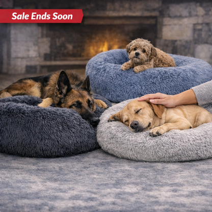 SnuggleNest™ – Calming Bed for Dogs