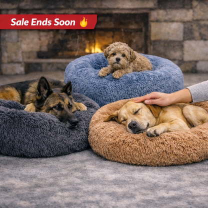 SnuggleNest™ – Calming Bed for Dogs