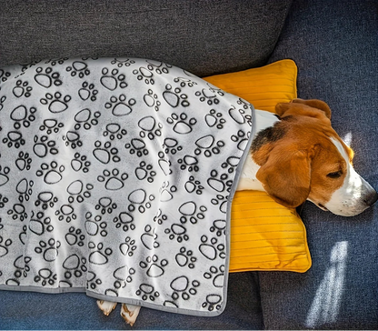 Soft Fluffy Pet Blanket – Warm Mat for Dogs & Cats