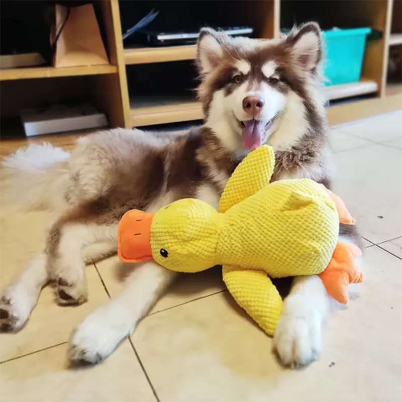 CalmBuddy Duck™ – Anxiety Relief Plush Toy for Dogs