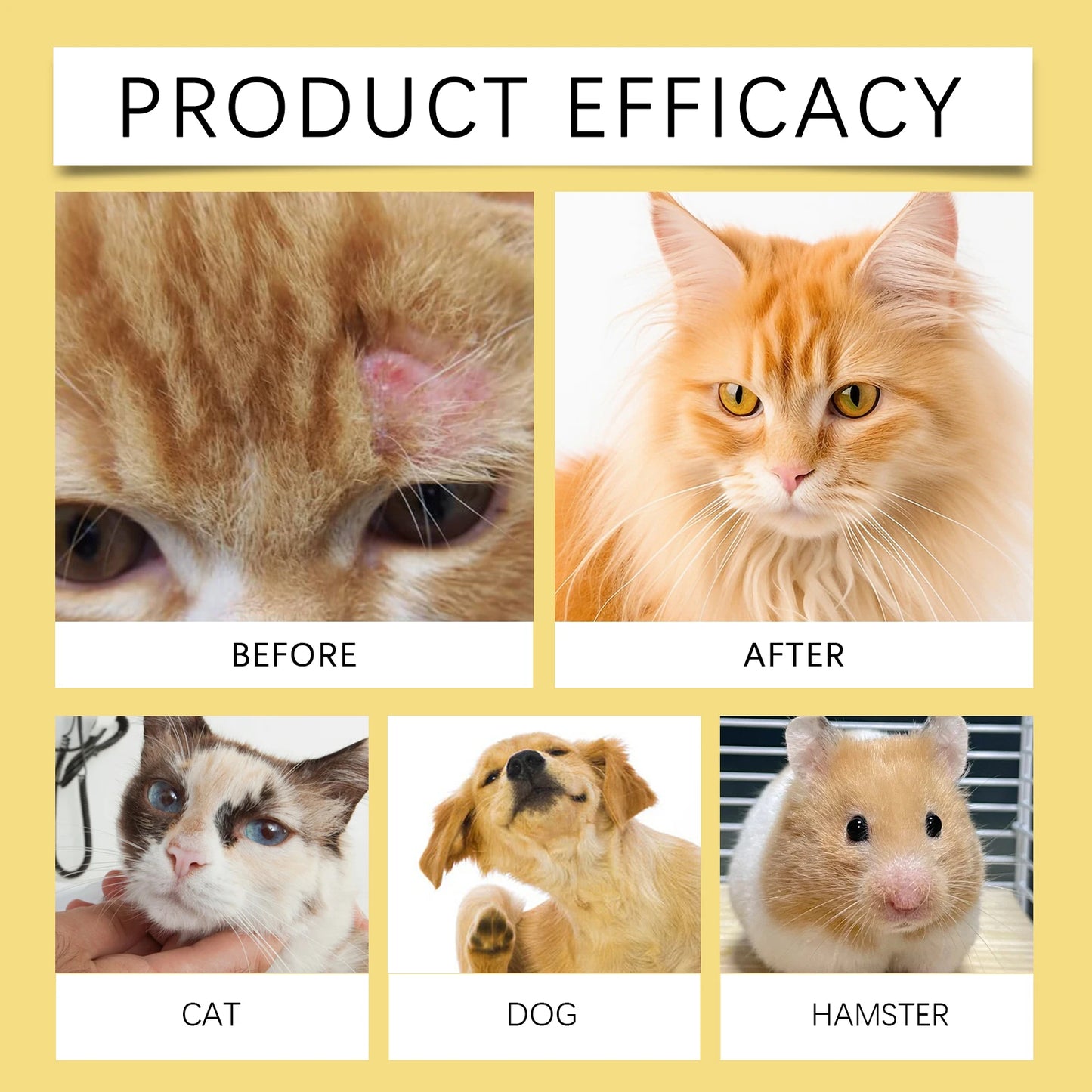 YEGBONG 50ml Pet Skin Relief Spray – Calming Care for Dogs & Cats