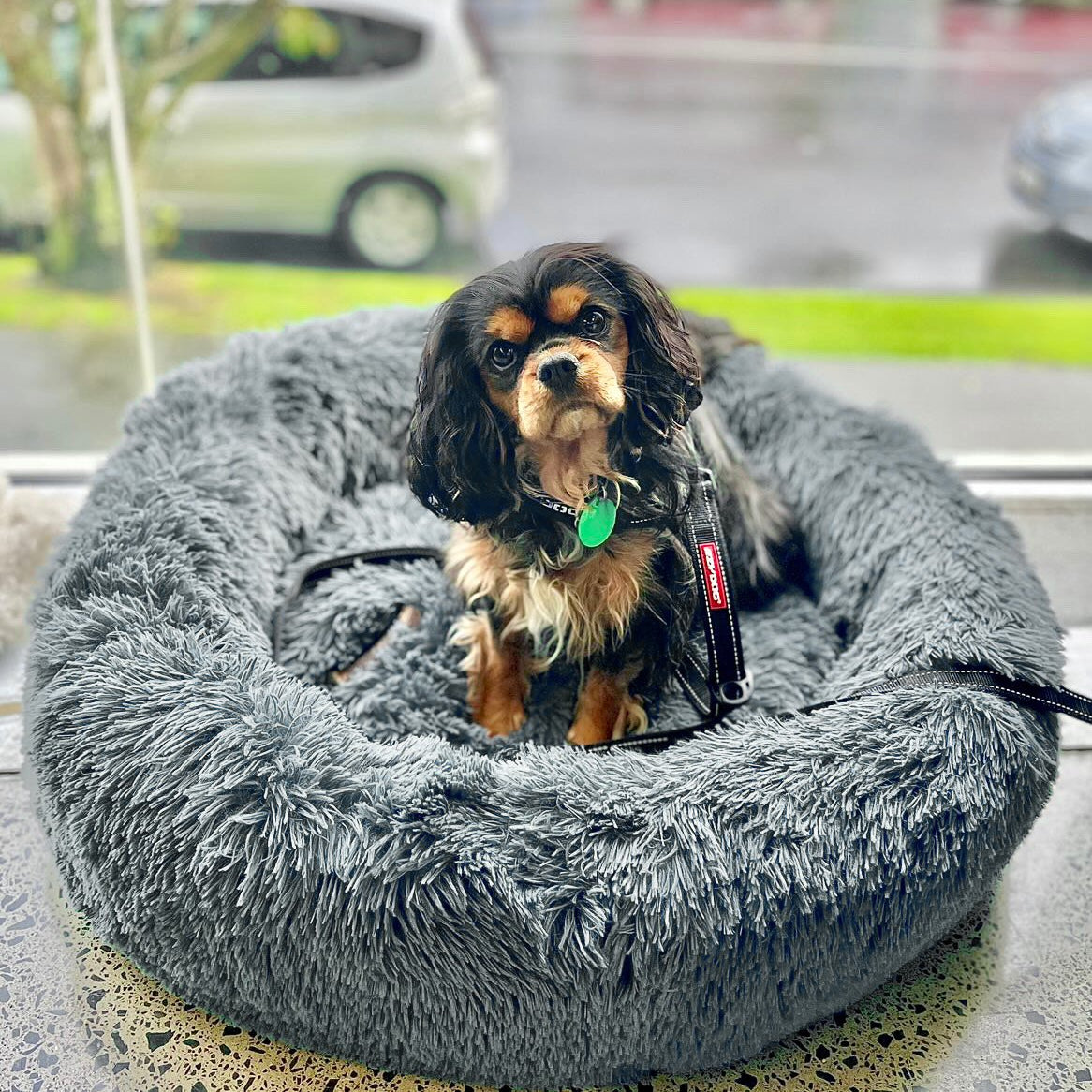 SnuggleNest™ Calming Bed Australia