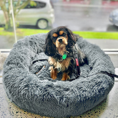 SnuggleNest™ Calming Bed Australia