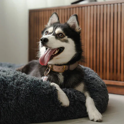 SnuggleNest™ Calming Bed Australia
